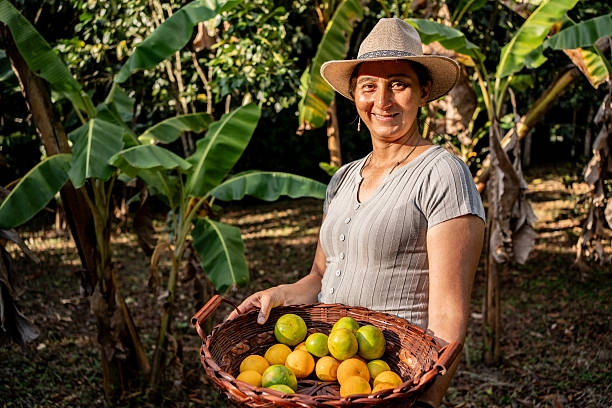 Manos de una mujer campesina del Eje Cafetero